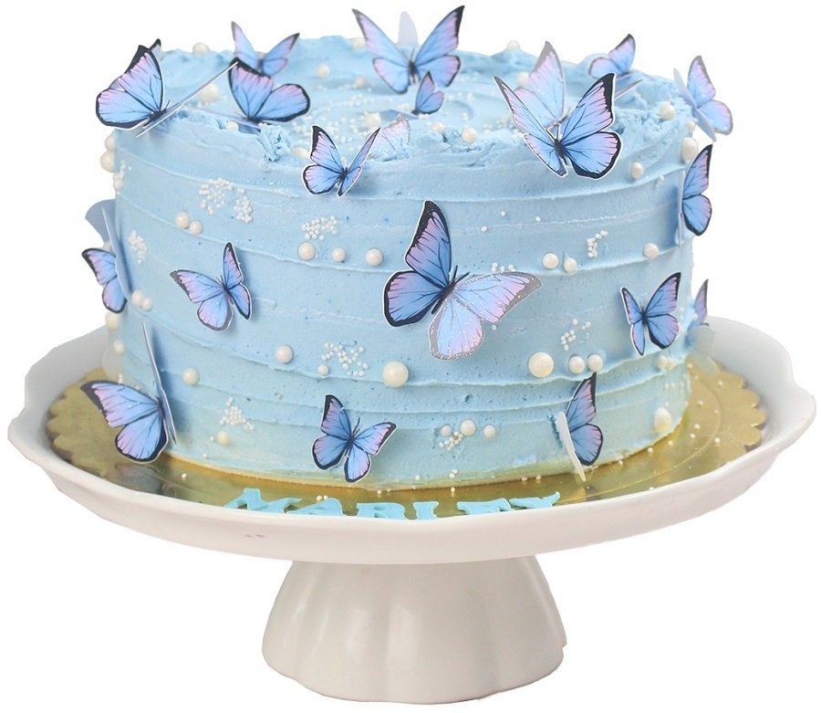 Pastel mariposas 02