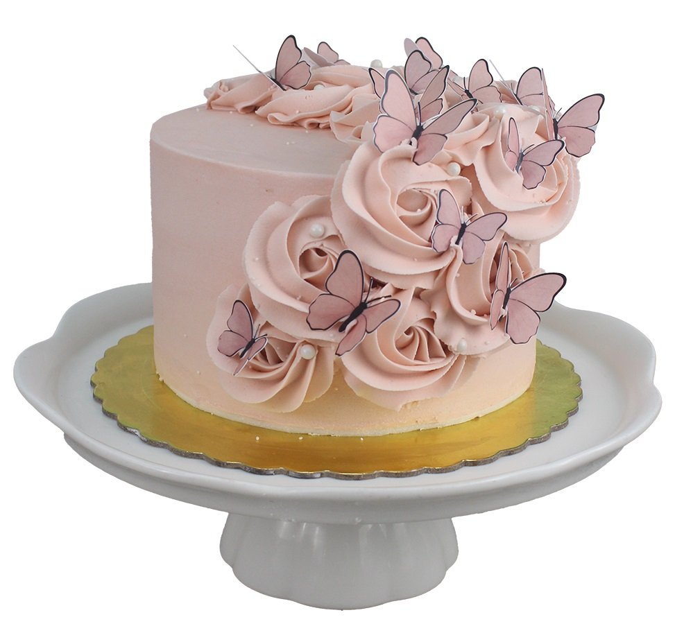 Pastel mariposas 03
