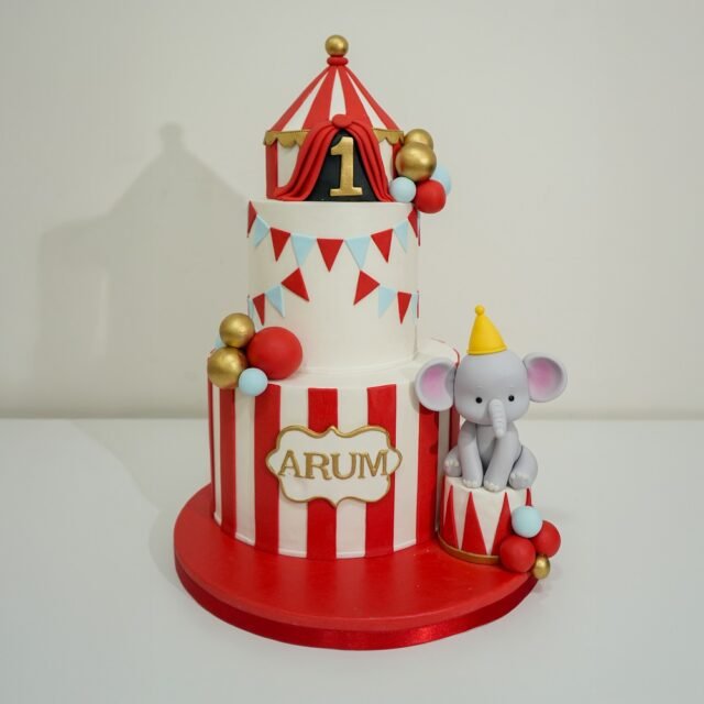 Pastel de circo 01