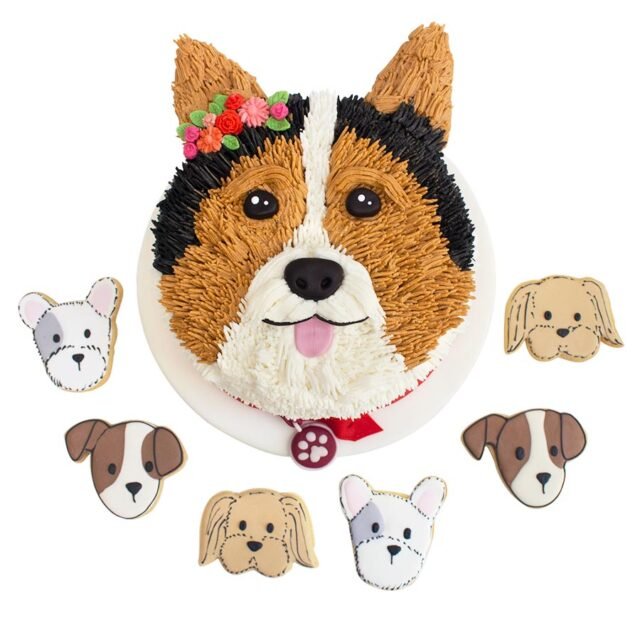 Pastel perrito corgi con galletas de cachorro
