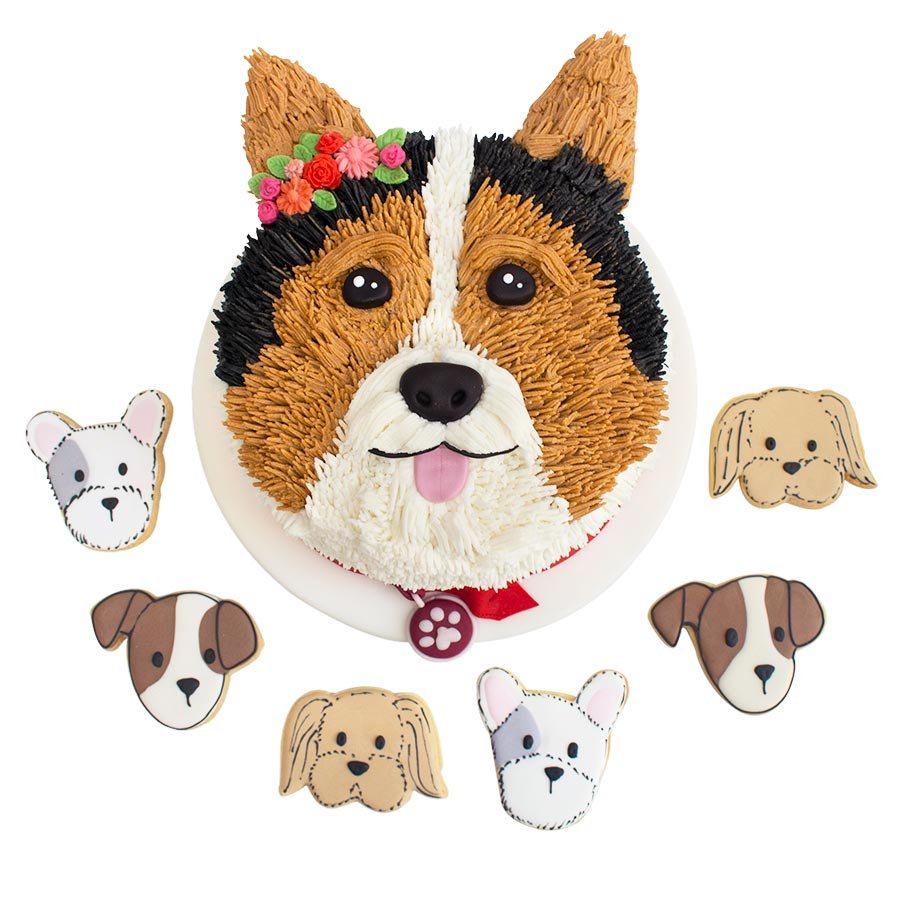 Pastel perrito corgi con galletas de cachorro