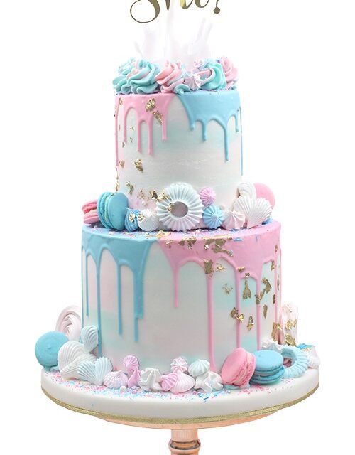 Pastel ¿Niño o niña? 01