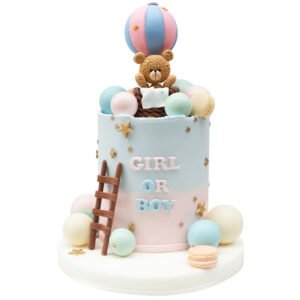 Pastel ¿Niño o niña? 03