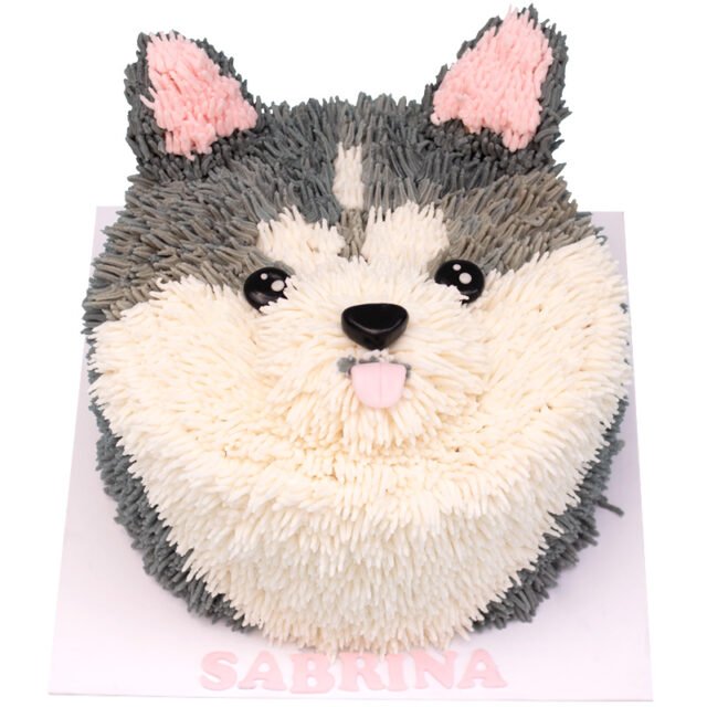Pastel husky siberiano